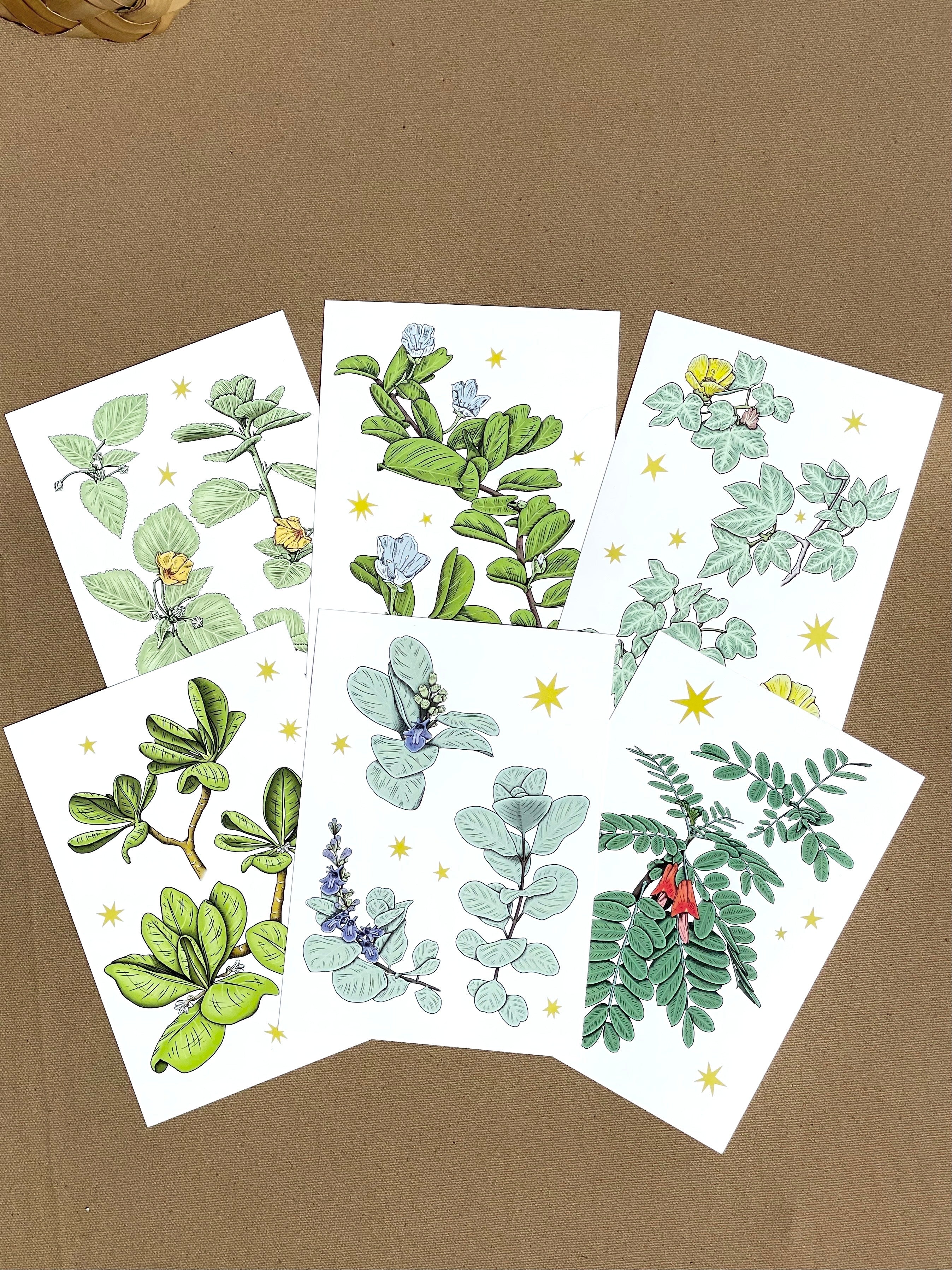 Native Coastal Plant Postcards, Set of 6